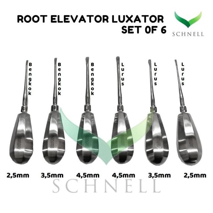 Root Elevator Luxator (1 Set Berisi 6 Pcs) Dental Instrument - Schezer Original Dan Terpercaya