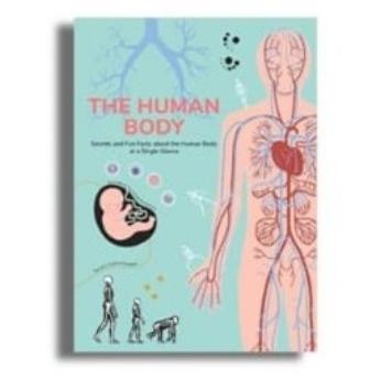 The Human Body