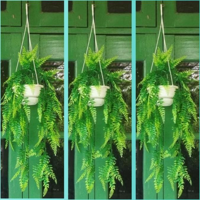 3 set pot gantung dan bunga juntai kemuning artificial plastik