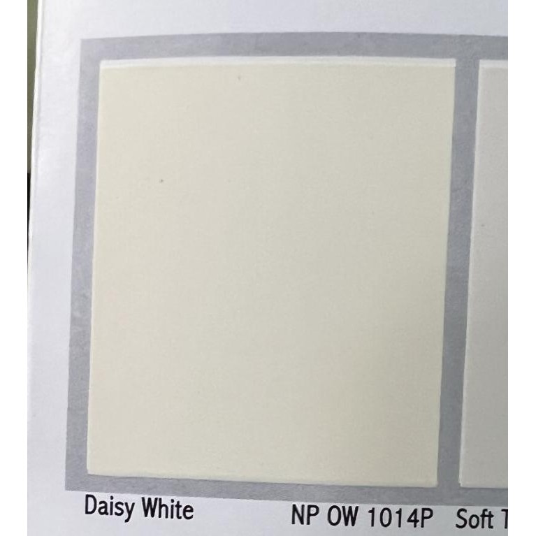 CAT VINILEX PRO 1000 22,5 KG / NP 243 LILY WHITE