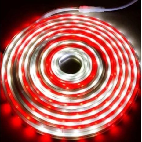 

TERSEDIA LAMPU LED STRIP SELANG MERAH PUTIH 8 METER DENGAN BERMACAM ANIMASI