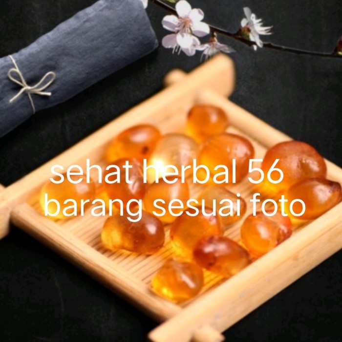 

Gercep Peach Gum Super Jumbo Dan Bersih 500Gram