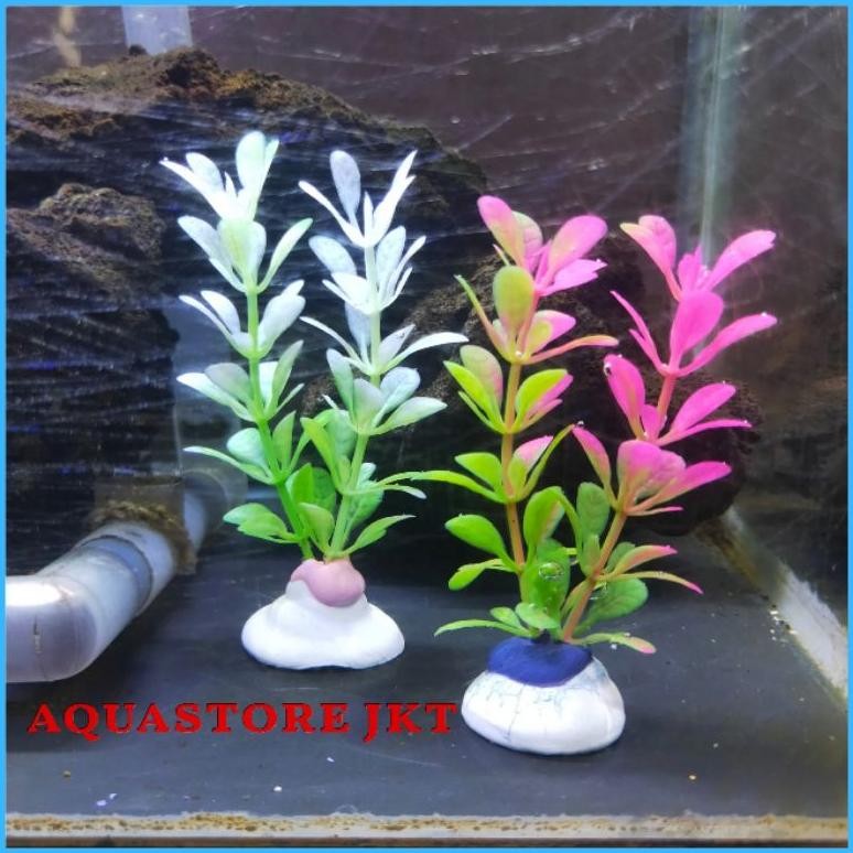 TANAMAN HIAS HIASAN AQUARIUM PLASTIK TANAMAN PLASTIK AQUARIUM AQUASCAPE