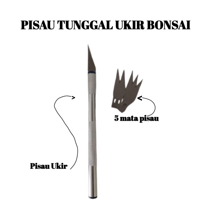 

populer] Pisau Ukir Bonsai Sayat Buah Cutter Pen Set Kayu Sayur Crafting Knife