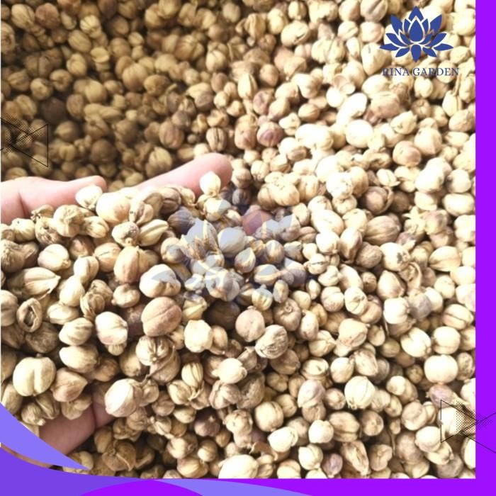 

KAPULAGA JAWA 100GR - KAPULAGA LOKAL - CARDAMON BEST PRODUCT
