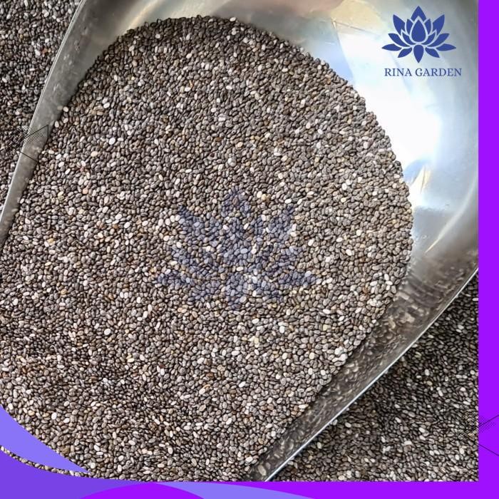 

ORGANIC BLACK CHIA SEED 500GR - CHIA SEEDS KUALITAS PREMIUM TERBAIK