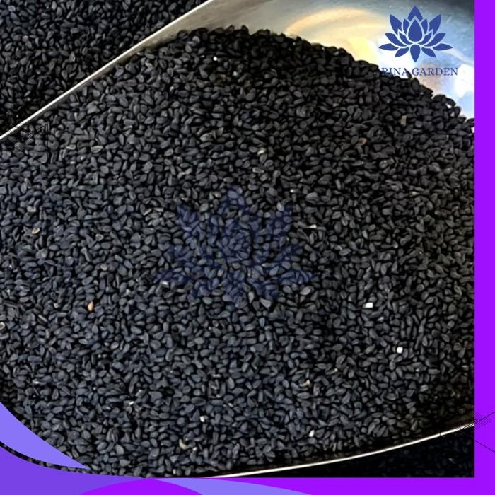 

BIJI JINTAN HITAM ASLI 250GR / HABBATUSSAUDA KUALITAS BAGUS TERJAMIN BEST