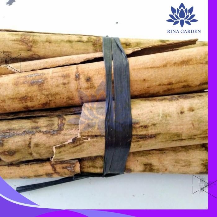 

KULIT KAYU PULE KERING 500GR BEST PRODUK