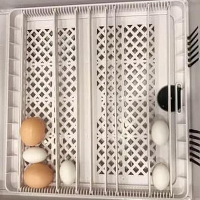 36 Egg Incubator Penetas Telur Hhd 36 Full Automatis
