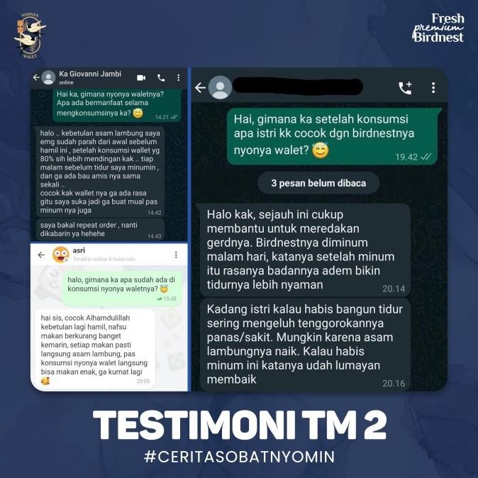 

Paket 2 minggu sarang burung walet gvs