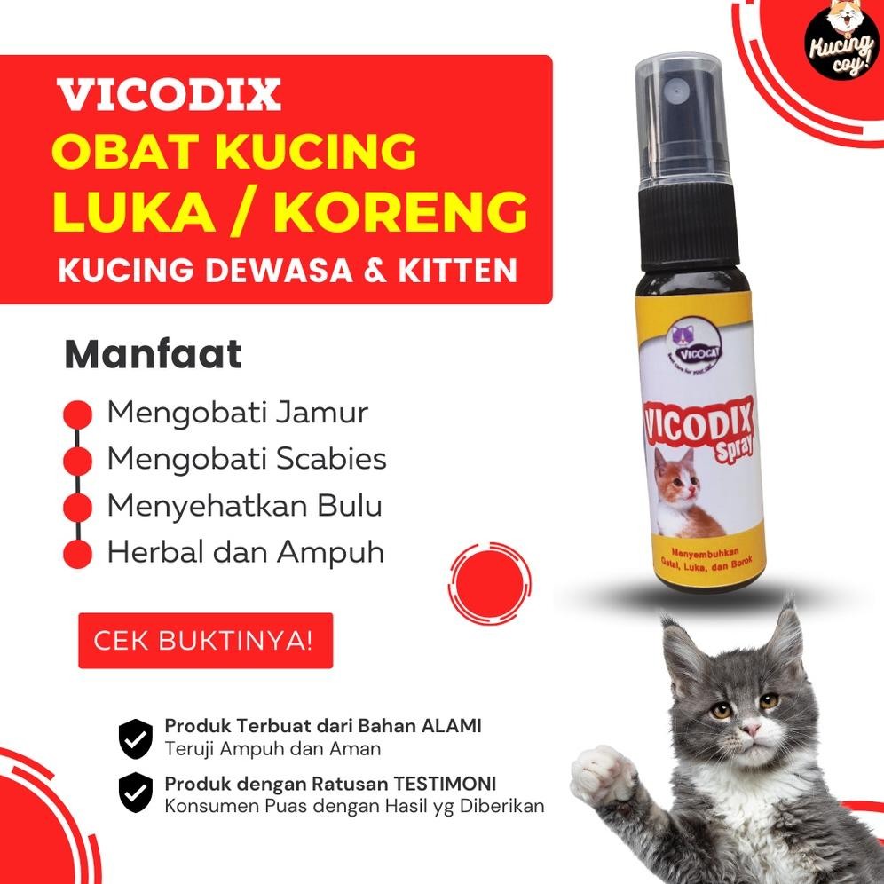 Obat luka kucing koreng VICODIX ampuh mengobati luka basah dan luka kering anak kucing