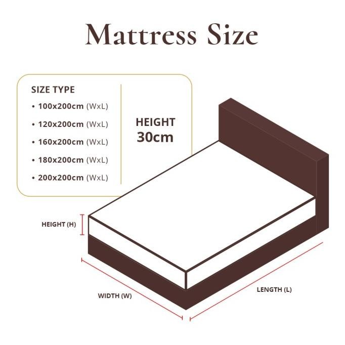 Kasur Springbed Lady Americana Viance Mattress Only ( Medium )