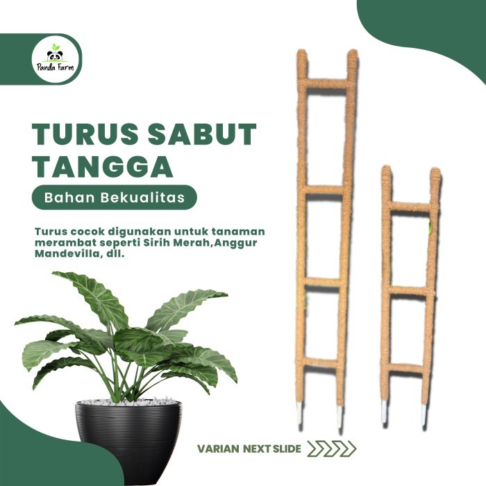 Turus Sabut Tangga