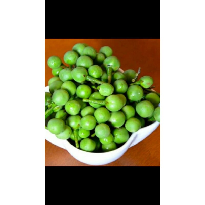 

buah tekokak segar 500,grm dan buah leunca