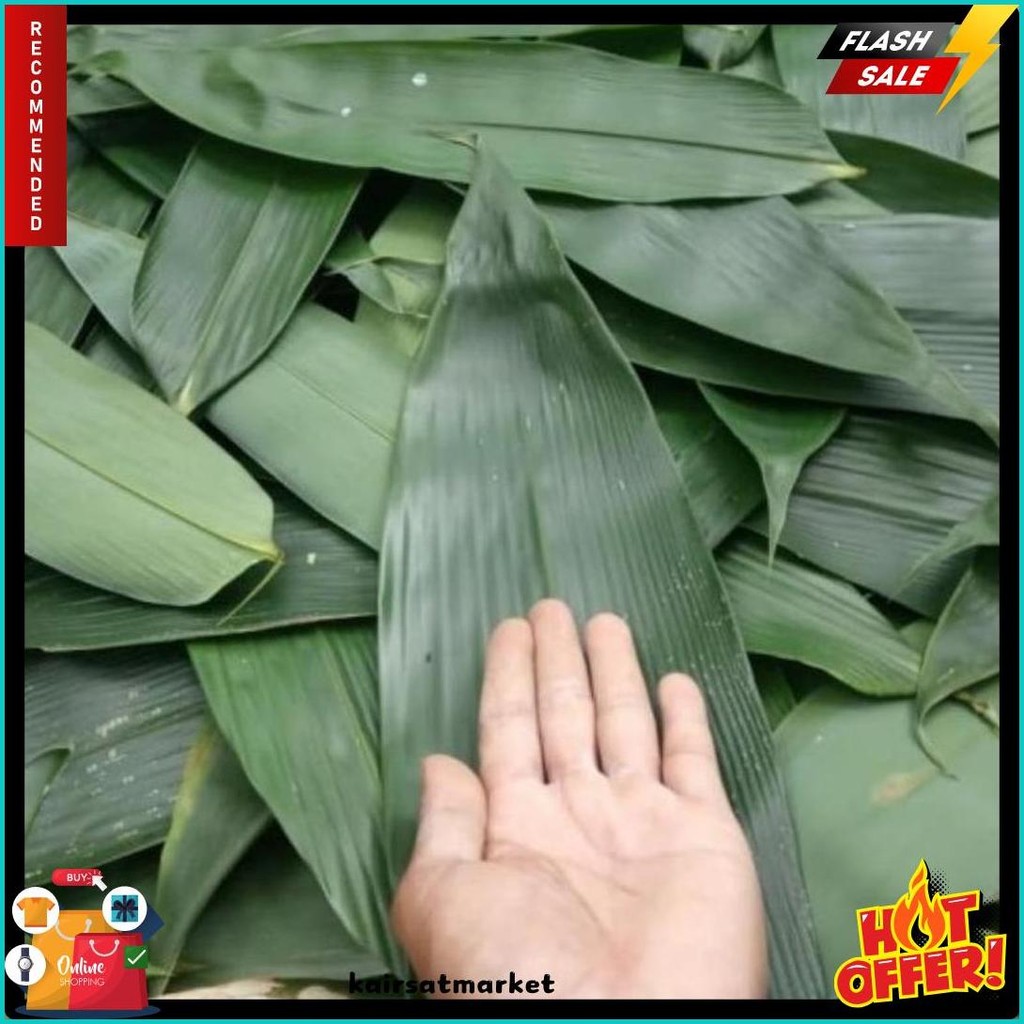 

Promo : 100 Lembar Daun Bambu Big Size 10-15Cm Fresh Bungkus Bacang / Bakcang (6.6)