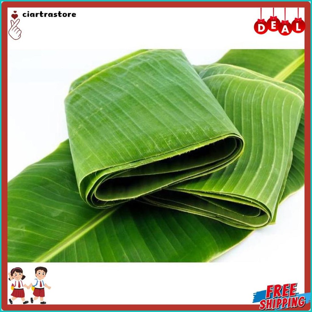 

Daun Pisang Fresh 1 Ikat Fresh Murah Bandung (Lagi Rame)