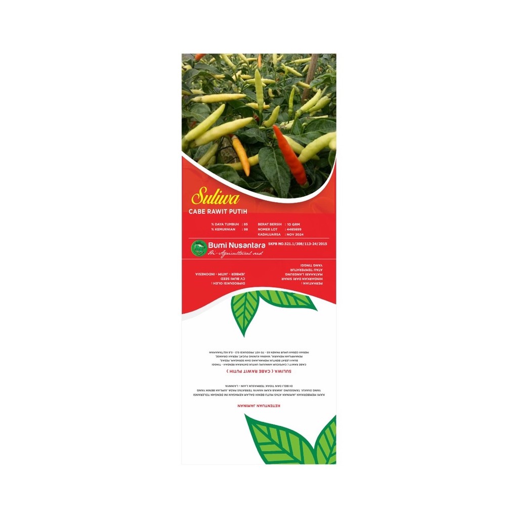 

cabe rawit putih(suliwa)