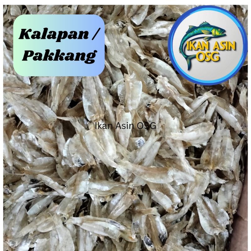 

Ikan Kalapan Tawar / Pakkang 1kg