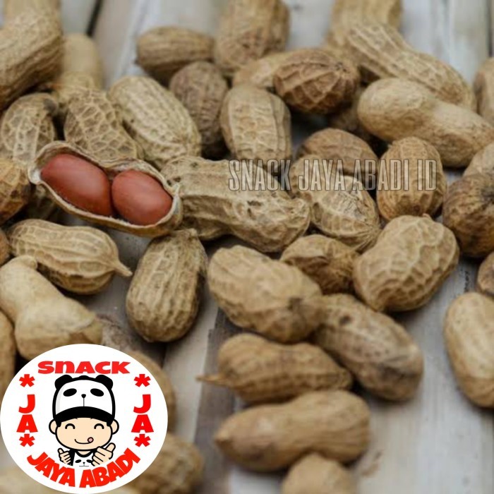 

MURAH Kacang Kulit Panggang / Kacang Tanah Kulit Sangrai 500 Gram