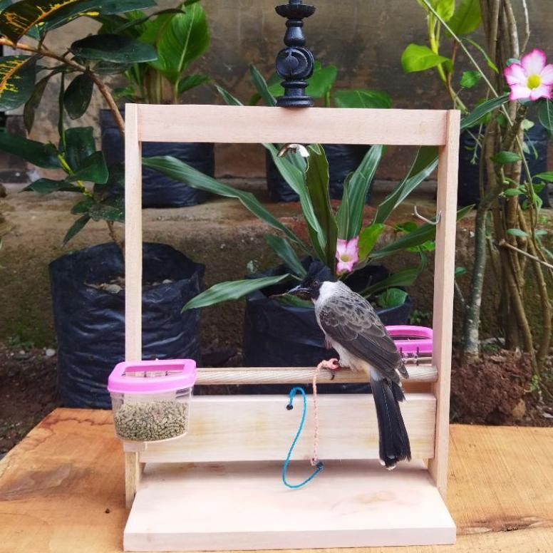 Sangkar Layang COD Burung Kutilang Trucuk Perkutut Burung Peliharaan Kandang Burung Tali Burung Kuti