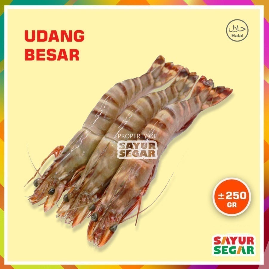 

UDANG FRSH UK. BESAR [250g] FRESH