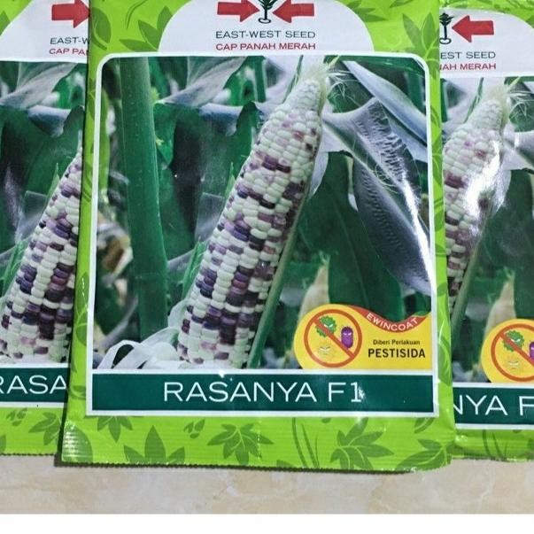 Benih Jagung Pulut Rasanya F1 isi 250 gram