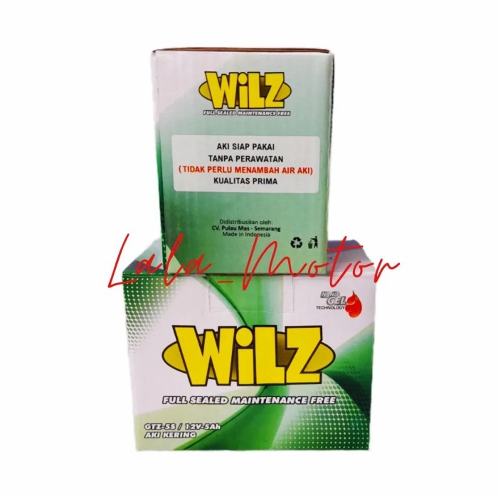 Aki Motor full kering GTZ5S wilz