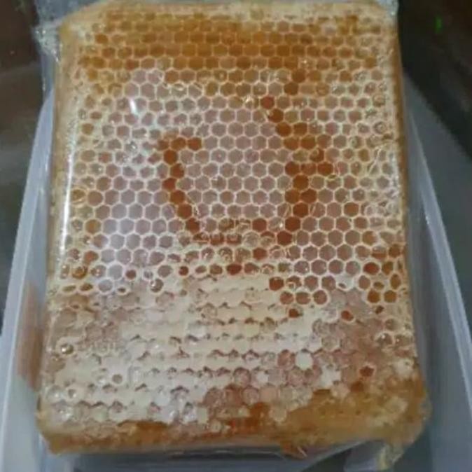 

madu sarang murni apis melifera 500gr [terbaik]