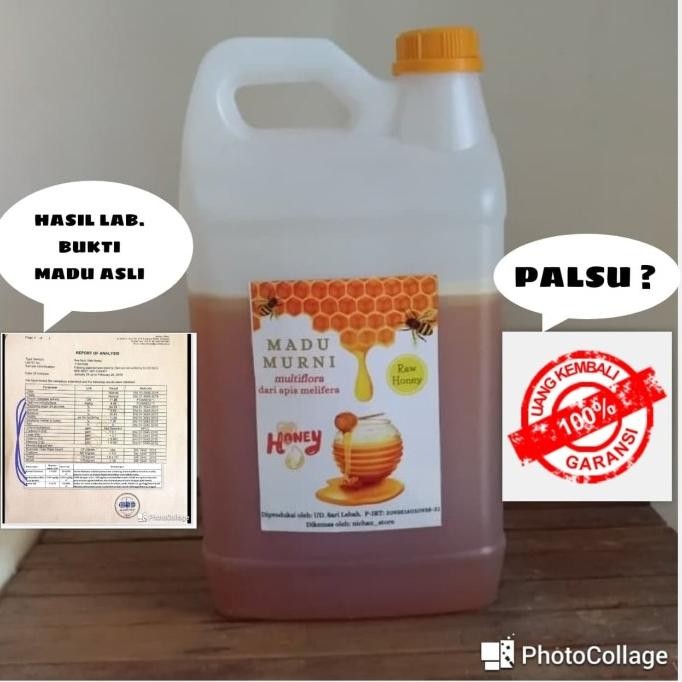 

Madu Asli Grosir 5000 Gram / 5 Kg Perasan Madu Sarang Melifera [terbaik]