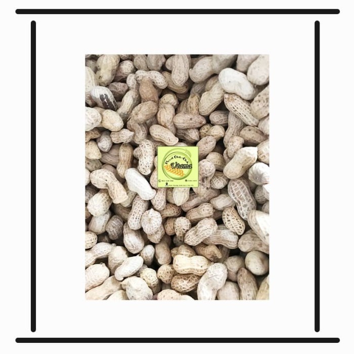 

CUCI GUDANG Kacang kulit Oven/ kacang oven/ kacang Curah 500 gr/ snack murah sby