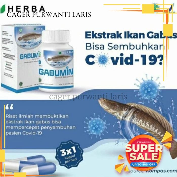 

GABUMIN EXTRAK IKAN GABUS BEST QUALITY!!!