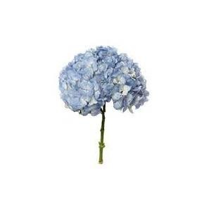 

BLUE- BUKET BUNGA / BUKET BUNGA ASLI / BUKET BUNGA HYDRANGEA / FEELING BLUE