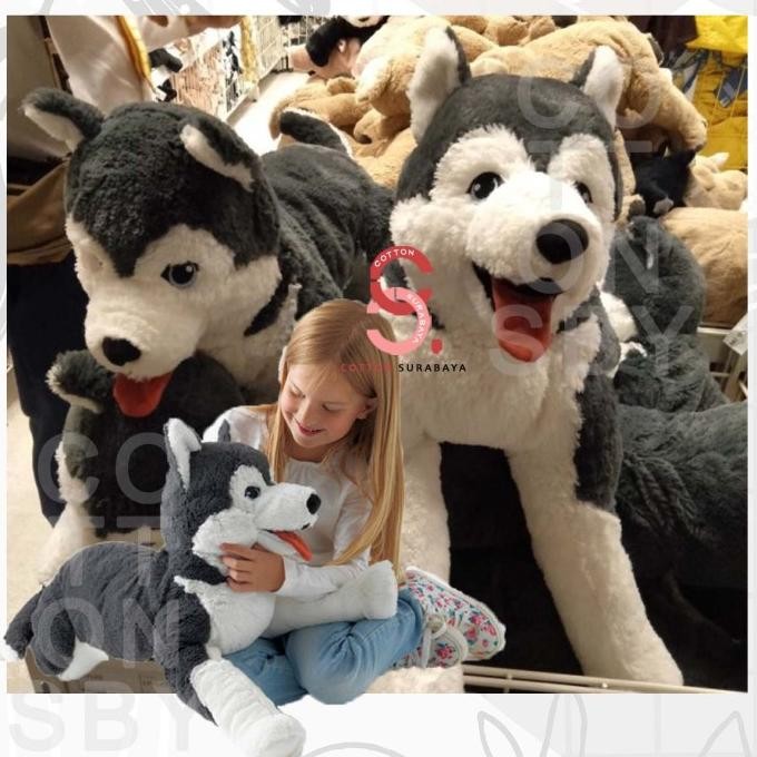 LIVLIG IKEA BONEKA ANJING SIBERIAN HUSKY 57CM 1512T