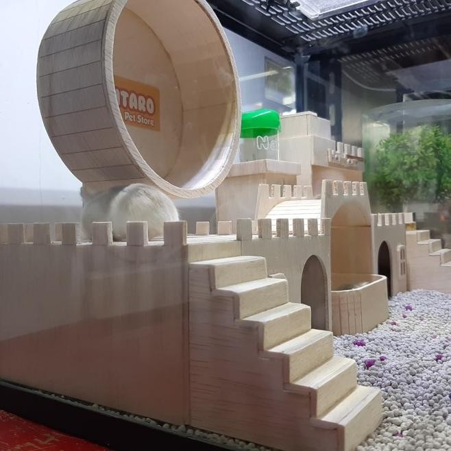 Terarium Kandang Hamster Besar Dan Lucu Mewah Dan Fullset