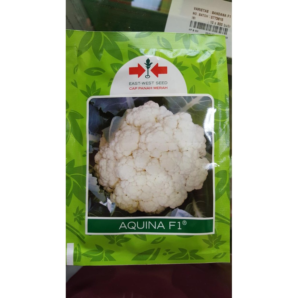 

Bibit Kembang Kol Benih Bunga Kol Aquina F1 10gr COD