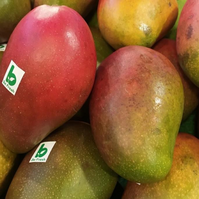 

mangga garifta merah 1kg COD