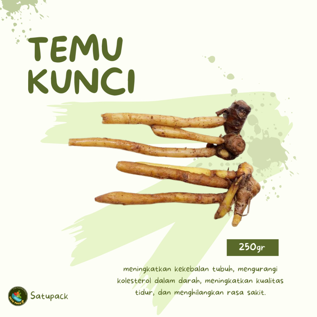 

TEMU KUNCI - 250GR