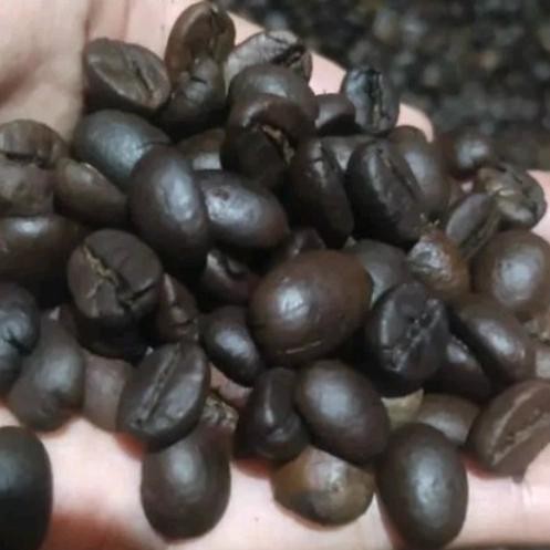 

Biji Kopi Robusta Roasted Coffee 1Kg