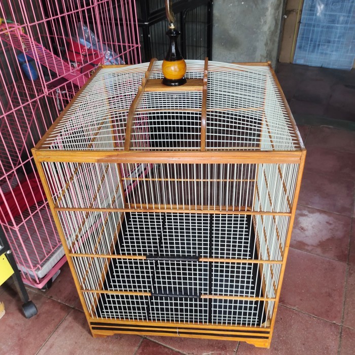 sangkar burung cucak rowo,jagal papua,jalak bali dll,kayu jati fiber.