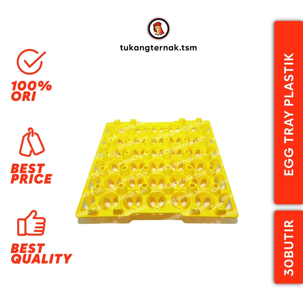 EGG TRAY 30 BUTIR / TEMPAT TELUR AYAM MEDION