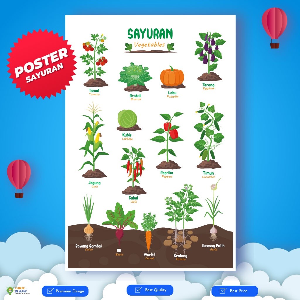 

Adaajaa Poster Edukatif Mengenal Nama Nama Sayuran Untuk Anak TK SD FA194TERMURAH