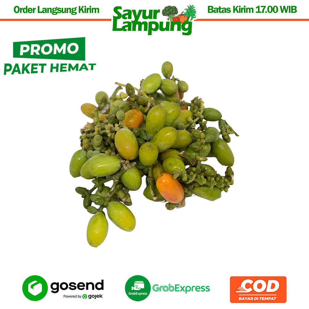 

PaHe Tangkil/Melinjo 100 Gr - Sayur Lampung