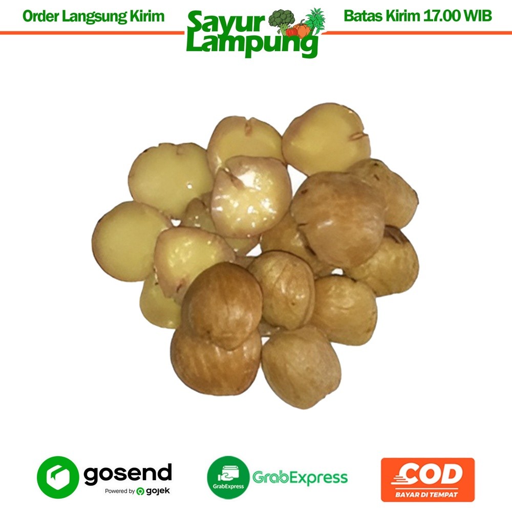 

Jengkol Rebus 1 Kg - Sayur Lampung