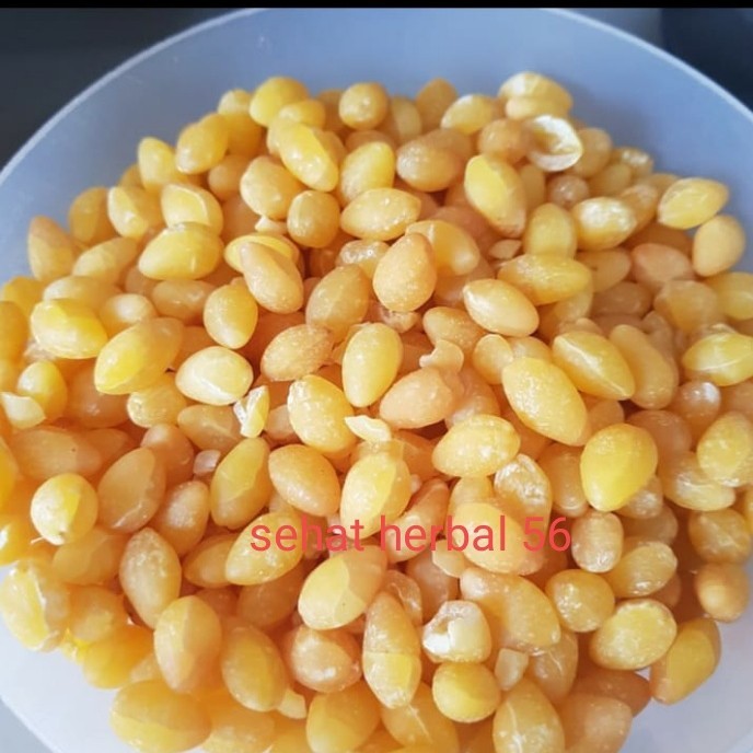 

ginko seed / ginko giloba 1/2kg