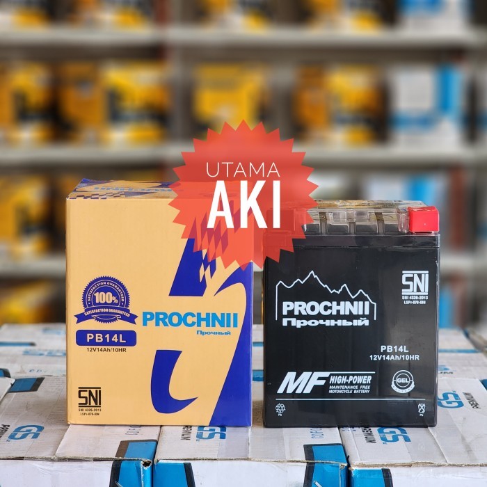 Aki Motor Kering Prochnii Pb14L 14Ah Moge Royal Enfield