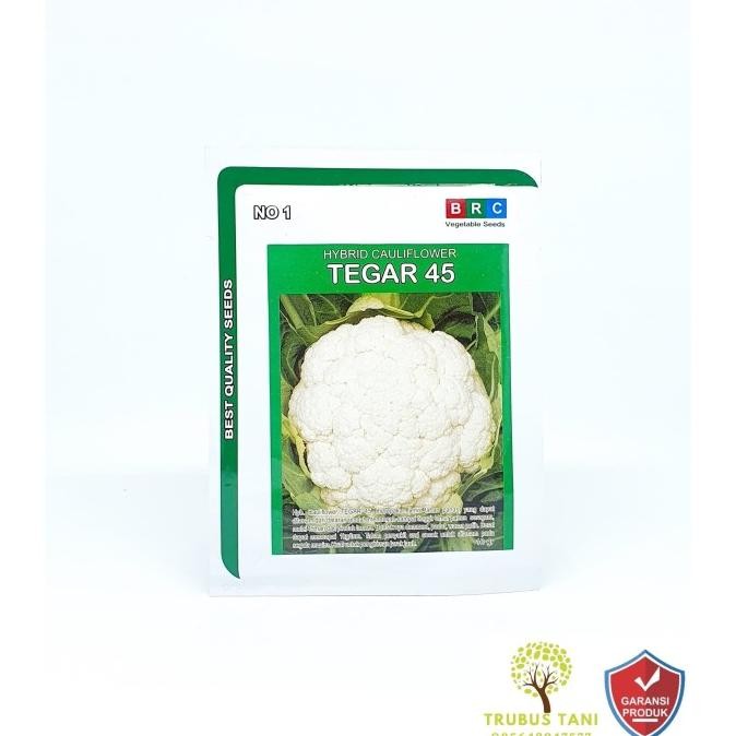 

BENIH Kembang Kol Hibrida Tegar +/- 2000 butir