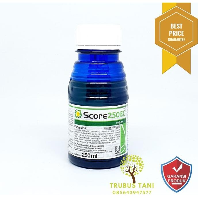 Fungisida + ZPT Score 250EC 250 ml