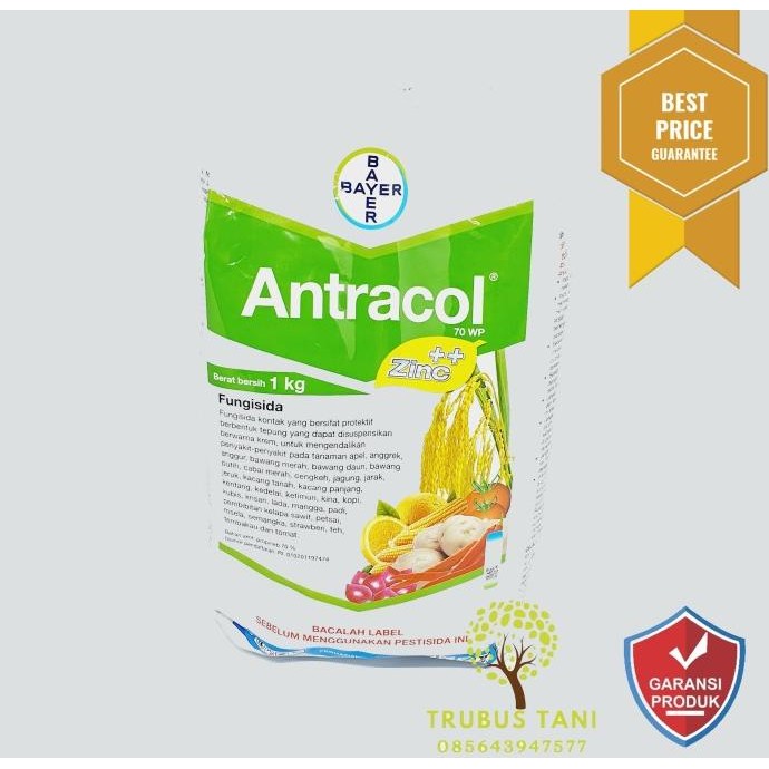 Fungisida Antracol 1kg