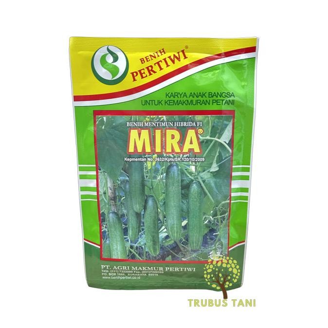 Benih Timun Mira 25 gram - Benih Pertiwi