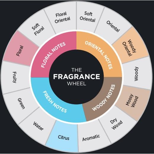 

Bayfresh Reed Diffuser Men Series Pengharum Ruangan - Forest L88S